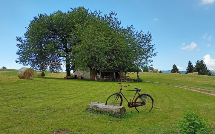 Una-giornata-in-fattoria